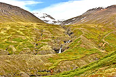 Petite cascade sur la route - Islande