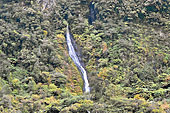 Cascade Blanche (640 m) sur la route de Salazie - La Réunion