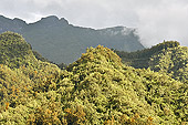 Paysage depuis la route menant à Salazie - La réunion