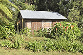 Ancienne case créole à Hell Bourg - La Réunion