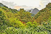 Paysage depuis la route menant à Salazie - La réunion