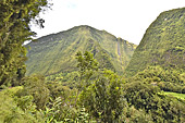 Vue du cirque de Salazie depuis la route - La Réunion