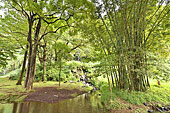 Forêt tropicale à Bois-Blanc et Gros Piton - La Réunion