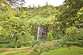 Forêt tropicale et cascades à Bois-Blanc et Gros Piton - La Réunion