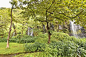 Forêt tropicale et cascades à Bois-Blanc et Gros Piton - La Réunion