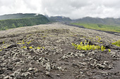 Le Grand Brûlé est la partie côtière de la dernière caldeira formée par le Piton de la Fournaise - La Réunion