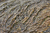 Détail d'une ancienne coulée de lave au Piton de la Fournaise - La Réunion