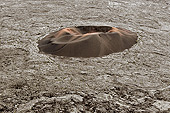Le "Formica Leo" vu du "Pas de Bellecombe" - Piton de la Fournaise - La Réunion