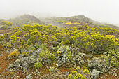 Les nuages envahissent le Piton de la Fournaise - La Réunion