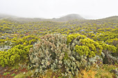 Les nuages envahissent le Piton de la Fournaise - La Réunion