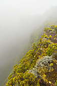 Bord de la caldeira dans les nuages - La Réunion