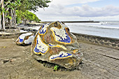Ornements décoratifs le long de la promenade côtière (Avenue de l'Amiral Lacaze) - Terre Sainte - La Réunion