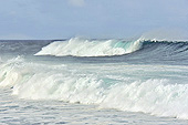 Vagues se fracassant sur la plage de Terre Sainte - La Réunion