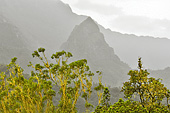 Paysage du cirque de Cilaos depuis la route de Ilet à Cordes - La Réunion