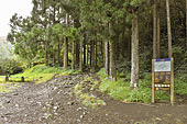 Chemin de randonnée menant au "Piton des Neiges" - La Réunion