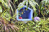 Niche à offrande au point d'eau de la "Roche merveilleuse" - La Réunion