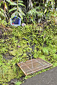 À la "Roche Merveilleuse", un point d’eau potable permet de se ravitailler au "Petit Matarum" - La Réunion