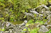 Petit torrent à coté de la "Roche merveilleuse" - La Réunion