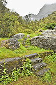 Petit chemin le long de la route menant à Îlet à Cordes - La Réunion