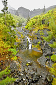 Petit torrent sur la route de la forêt du "Grand Matarum" - La Réunion