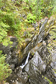 Torrent au fond d'un ravin sur la route de la forêt du "Grand Matarum" - La Réunion