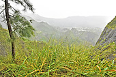 Paysage du cirque de Cilaos depuis la route de Ilet à Cordes - La Réunion
