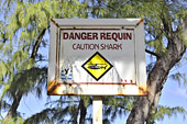 Panneau indiquant le danger de requin au Gouffre de l'Étang Salé - La Réunion