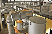 Vue des réservoirs et tyauteries à l'intérieur de l'usine sucrière - "Musée Stella Matutina" - La Réunion