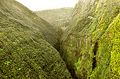 Vallée encaissée vue depuis le ciel - La Réunion