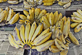 Mains de bananes (Musa acuminata et Musa balbisiana) - La Réunion