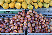 Fruits de la passion (Passiflora edulis) - La Réunion