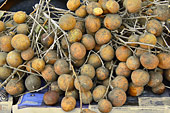 Lam Yai (Dimocarpus Longan) - La Réunion