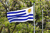Drapeau national - Montévidéo - URUGUAY
