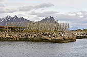 Séchoir des morues à l'entrée du port de SVOLVÆR - NORVÈGE (31-05-2017 / 21H00)