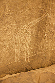Sahara Algérien - Gravures rupestres