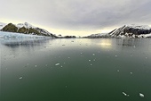 Vue du glacier "Blomstrand" depuis l'avant du "MS Nordstjernen" - SVALBARD (04-06-2018 / 08H40)