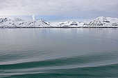 Rive du glacier "Blomstrand" depuis une coursive du "MS Nordstjernen" - SVALBARD (04-06-2018 / 09H25)