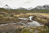 Zone marécageuse - Valle de los Lobos (Vallée des Loups) - Ushuaia - ARGENTINE