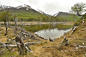 Valle de los Lobos - Laguna Esmeralda - Ushuaia - ARGENTINE