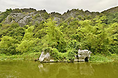 Végétation sur les rives des canaux - Ninh Binh ou la baie d'Halong terrestre - Viêtnam
