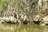 Cavités dans la roche calcaire le long des rives - Ninh Binh ou la baie d'Halong terrestre - Viêtnam