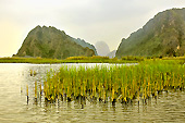 Navigation dans le silence sur les canaux sinueux - Ninh Binh ou la baie d'Halong terrestre - Viêtnam