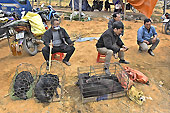 Exposition de cochons noirs sur le marché de "Coc Ly" à "Bac Ha" - Viêtnam