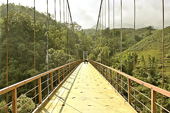 Pont suspendu surplombant le fond de la vallée "Muong Hoa" - Sapa - Viêtnam