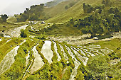 Fond de la vallée "Muong Hoa" - Sapa - Viêtnam