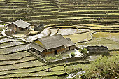 Habitations au milieu des rizières en escalier - Sapa - Viêtnam