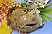 Dimension d'une petite perle artificielle à l'intérieur d'une huître lors de son introduction - Ferme de perles de Tung Sau - Baie d'Halong - Viêtnam