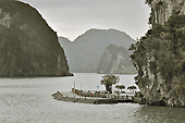 Petit embarcadère sur l'île "Ti Tov" - Baie d'Halong - Viêtnam