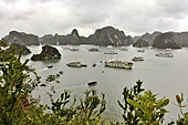 Panorama depuis le sommet de l'île "Ti Tov" - Baie d'Halong - Viêtnam