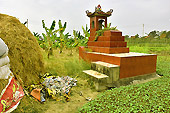 Sépulture au milieu des cultures de légumes - Viêtnam